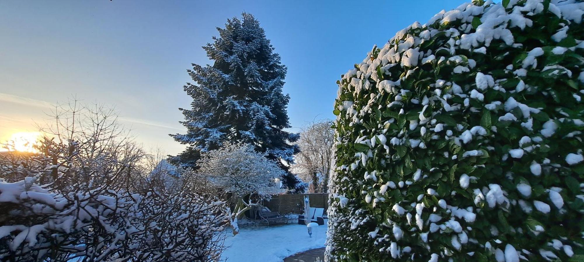 Bungalow An Der Tanne Mit Ueberdachter Terrasse دوسلدورف المظهر الخارجي الصورة