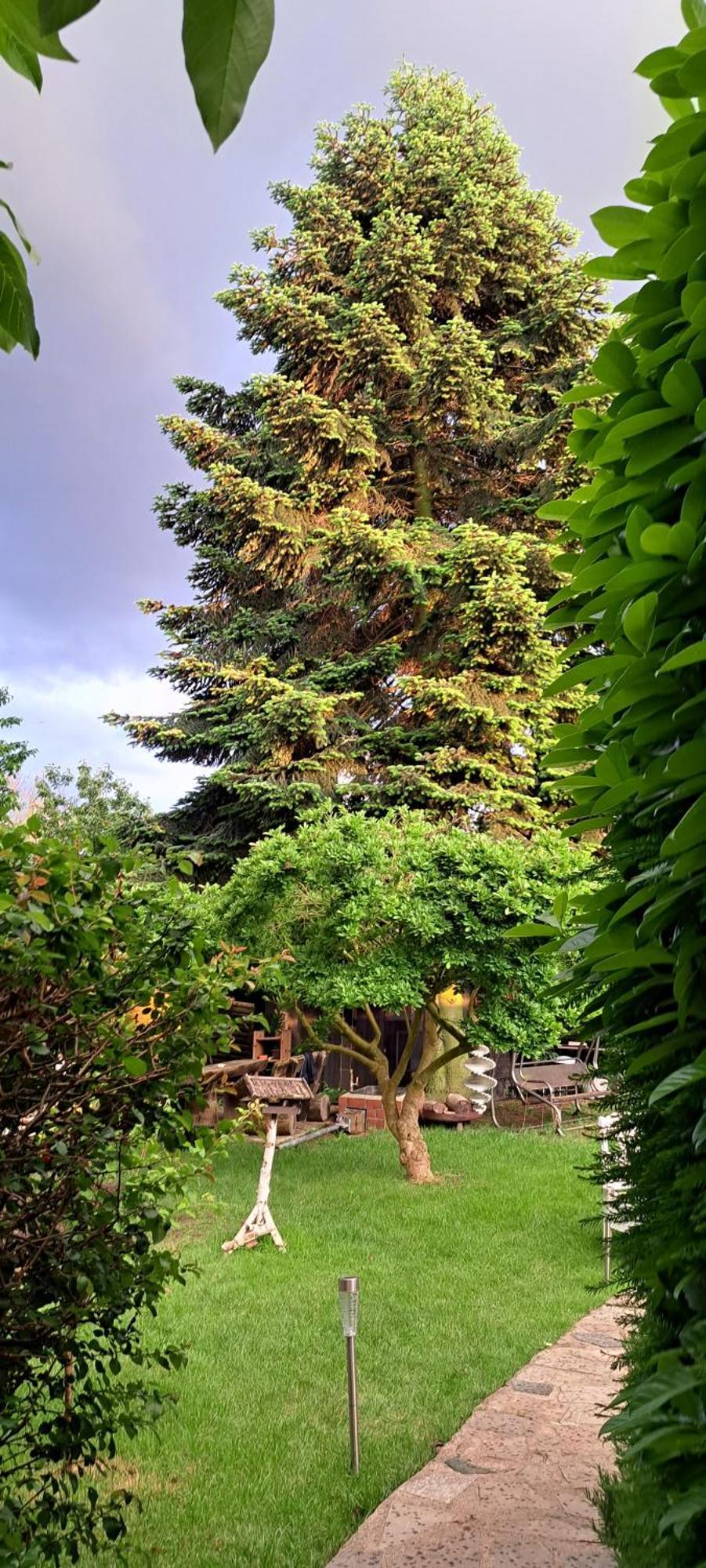 Bungalow An Der Tanne Mit Ueberdachter Terrasse دوسلدورف المظهر الخارجي الصورة